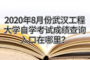 2020年8月份武汉工程大学自学考试成绩查询入口在哪里？