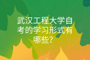 武汉工程大学自考的学习形式有哪些？